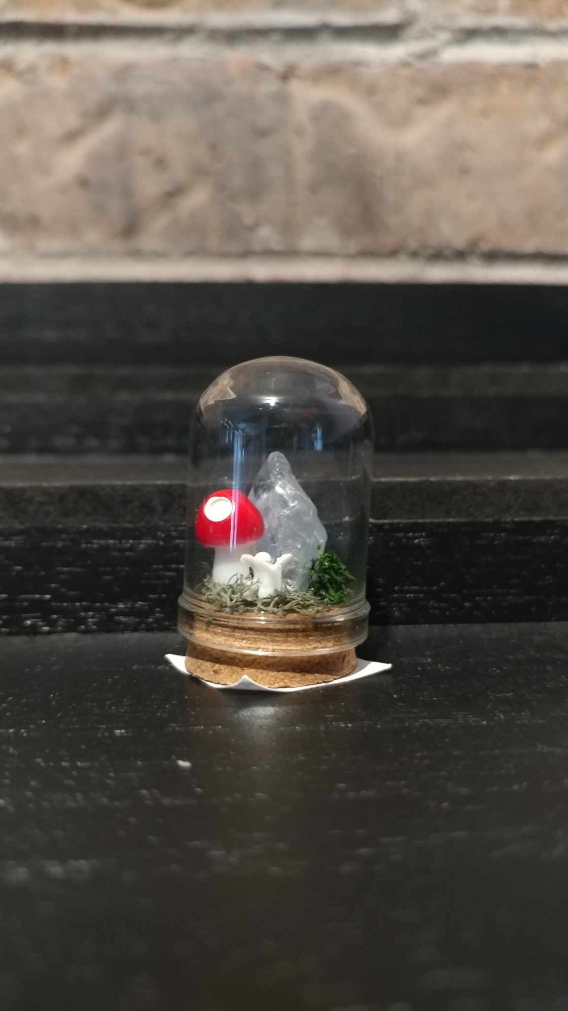 Terrariums