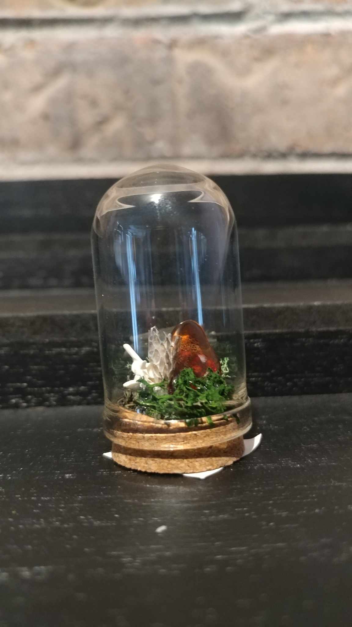 Terrariums