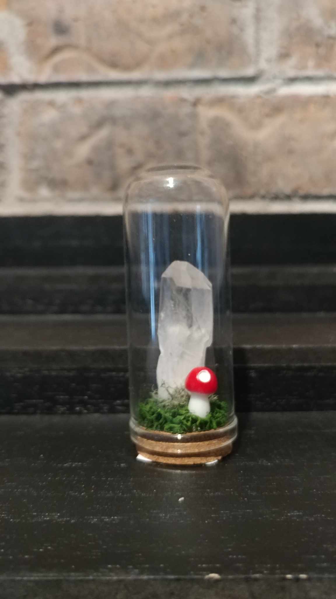 Terrariums