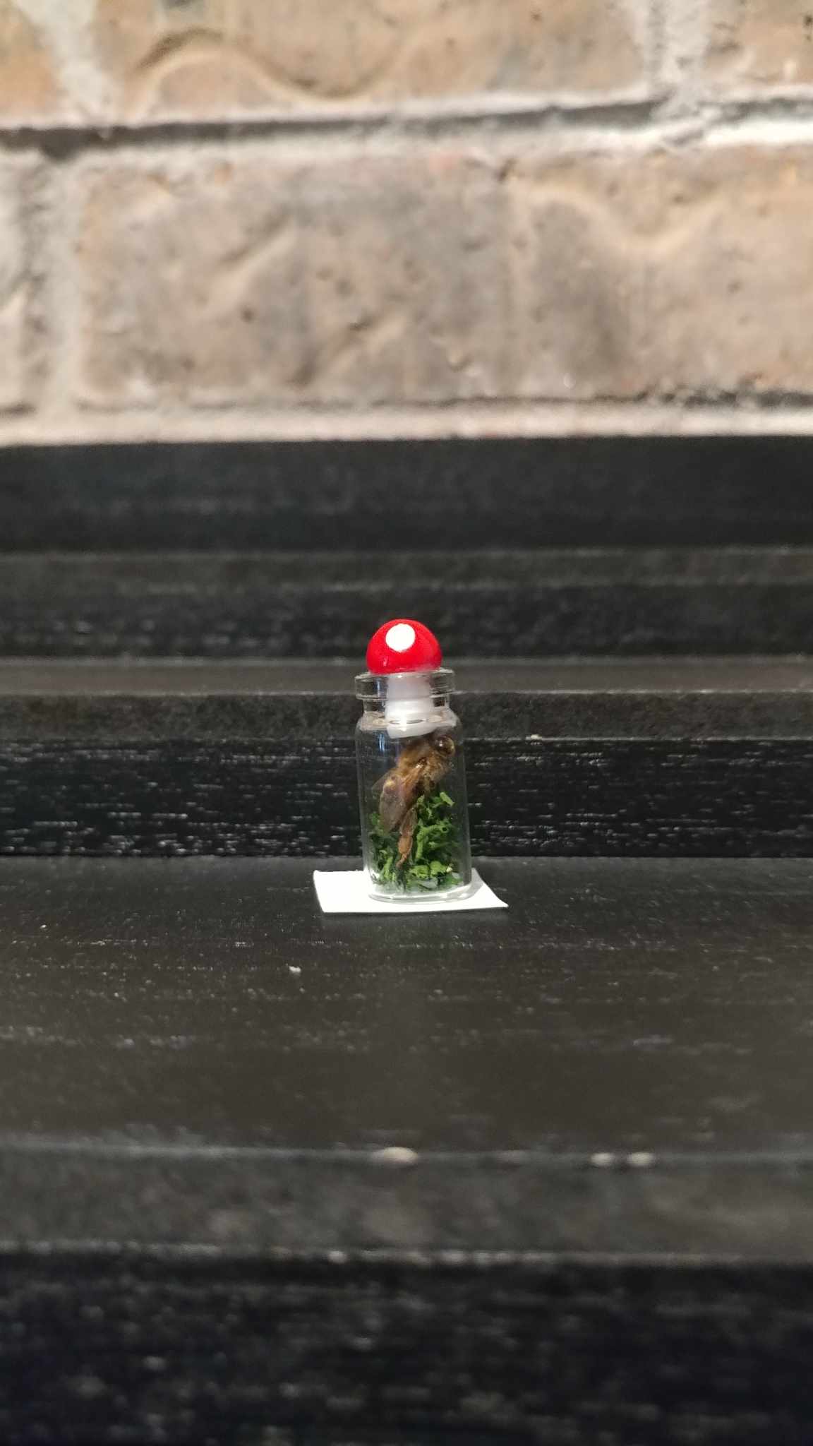 Fairy Jars