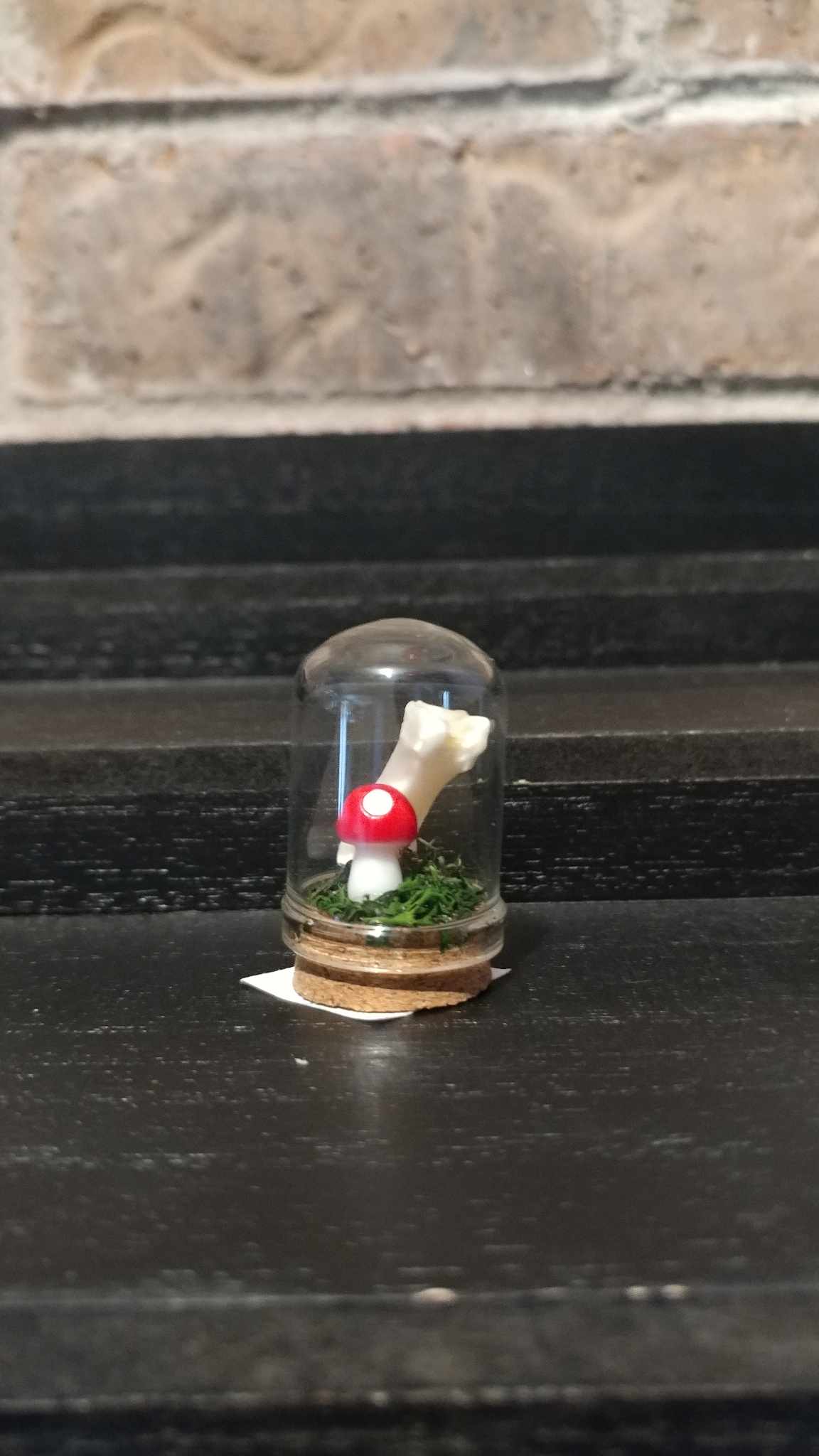 Terrariums