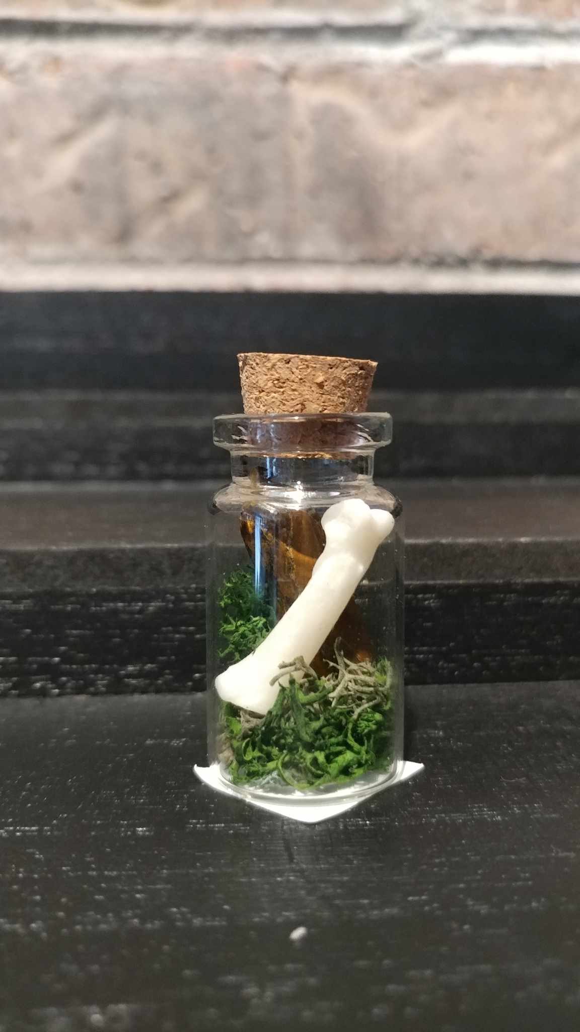 Terrariums