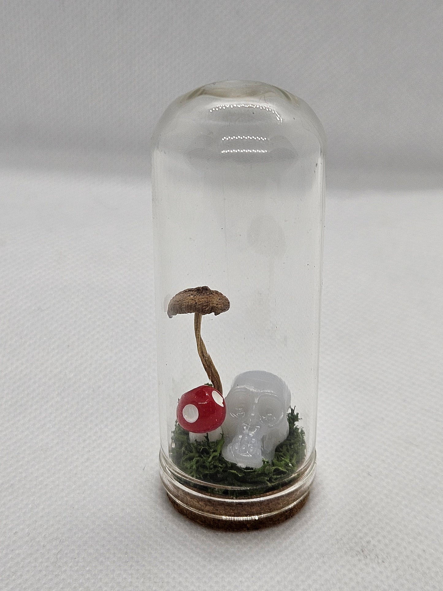 Terrariums