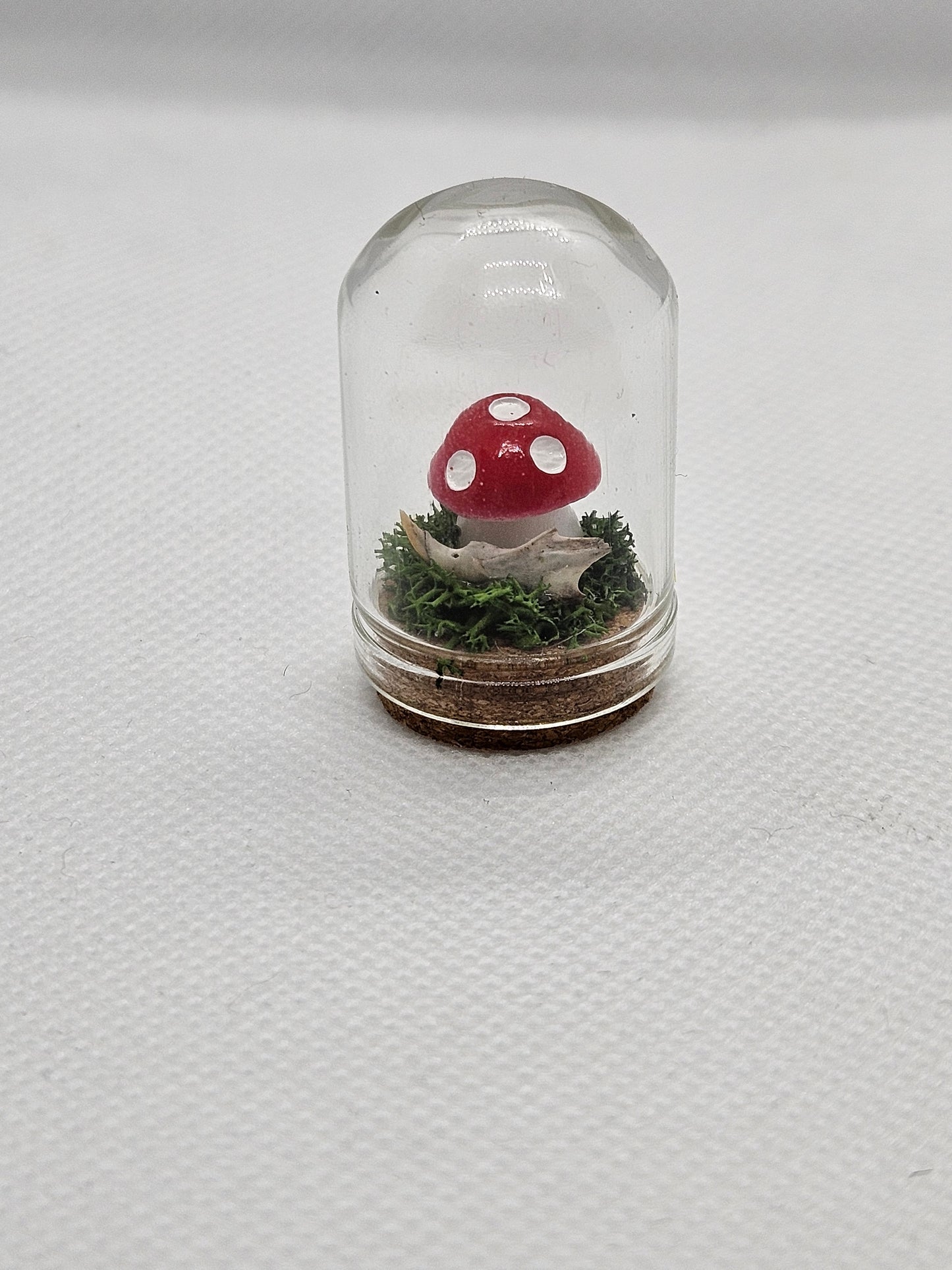 Terrariums