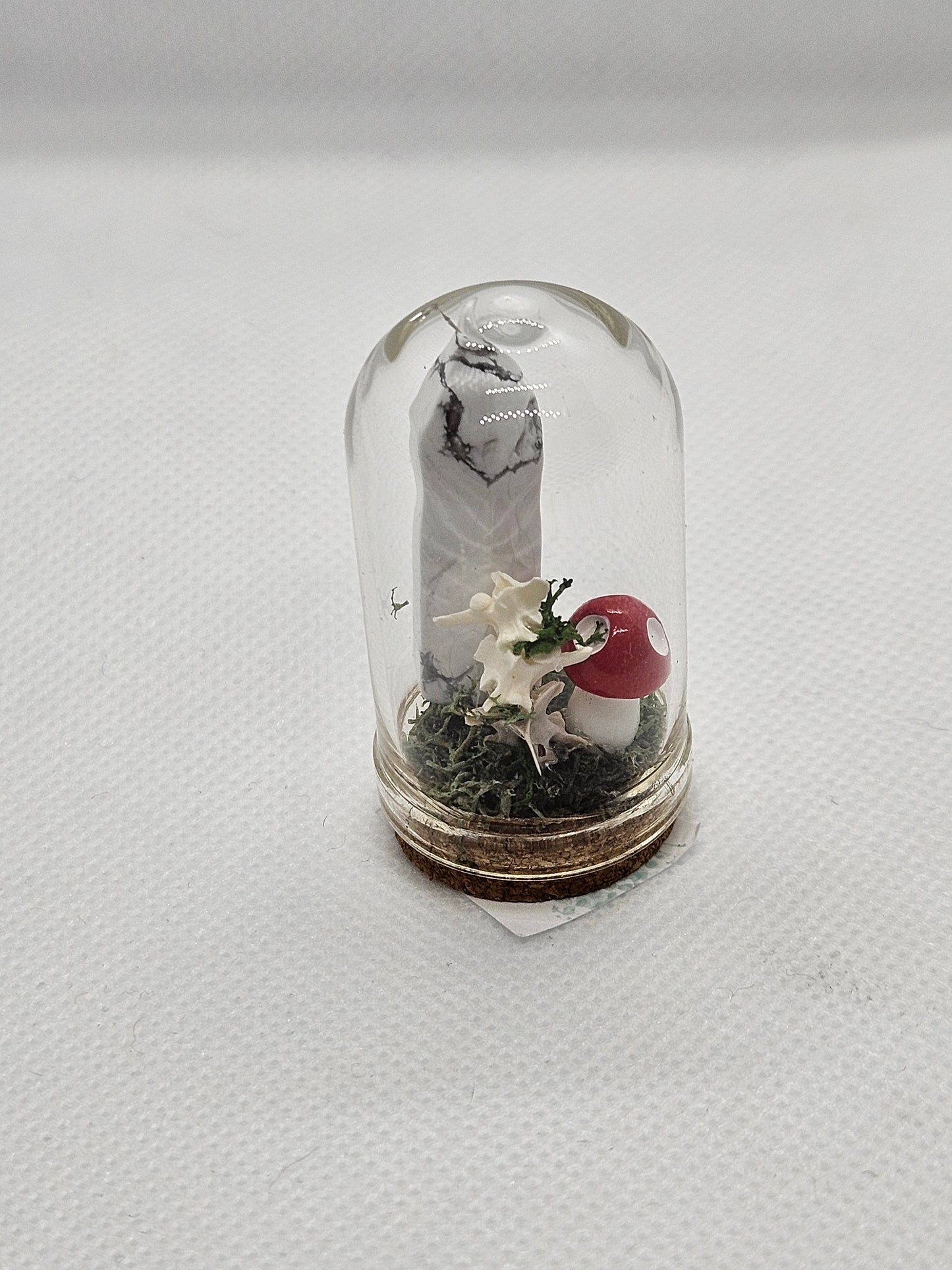 Terrariums