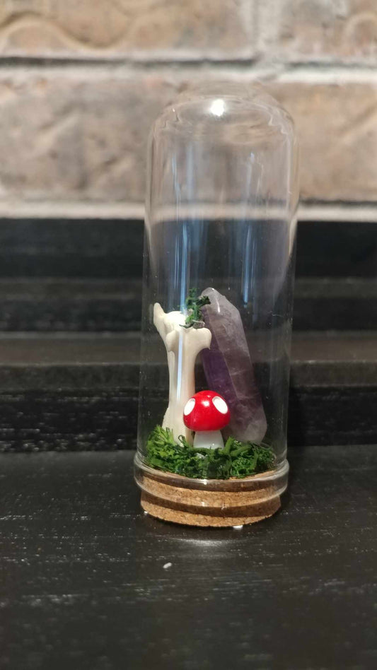 Terrariums