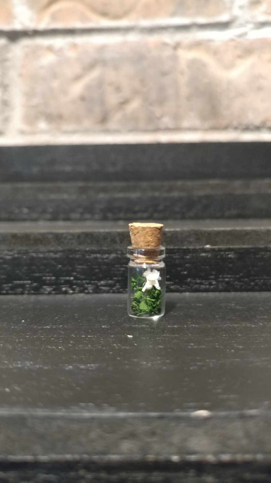 Fairy Jars